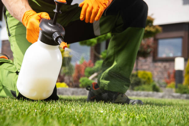 Best Mosquito Control Services  in Atwood, KS